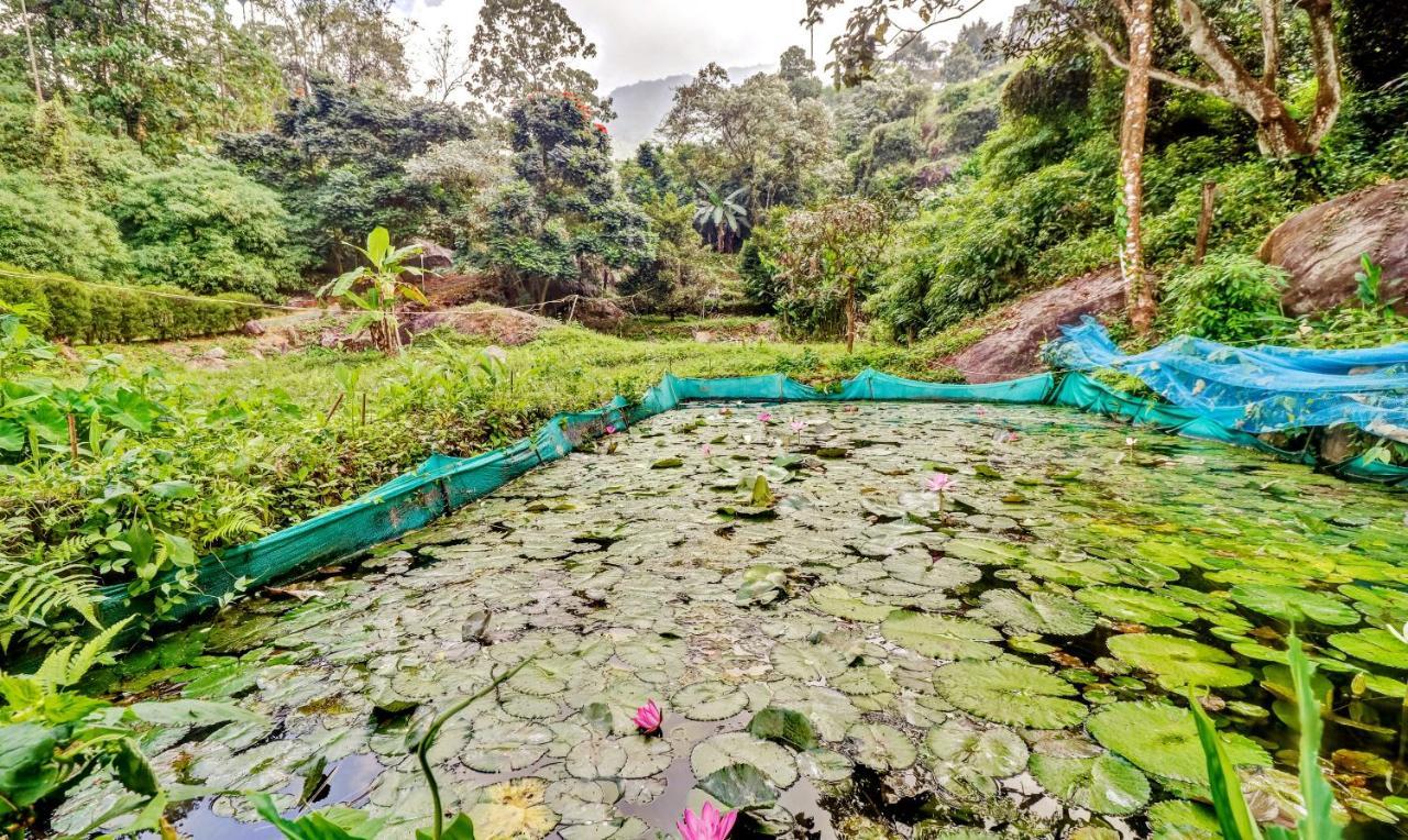 Treebo Tryst Jathika Resorts Kozhikode Bagian luar foto